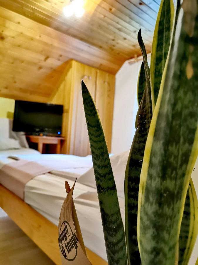 Hisa Erlah Hotel Bohinj Exterior photo